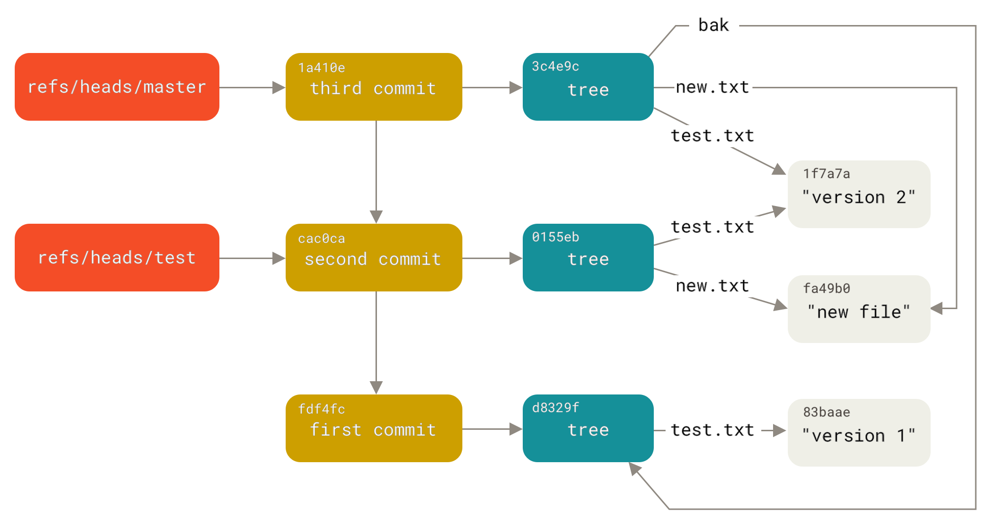 Git directory objecten inclusief branch head referenties.