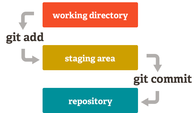 git stage all changes