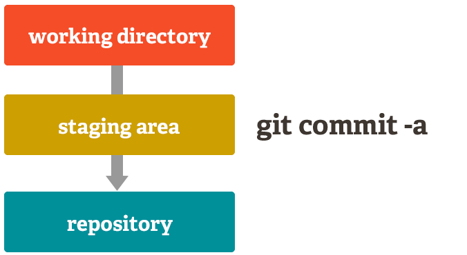 git stage all changes